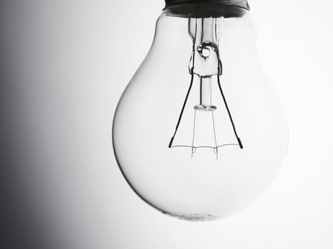 light bulb on the white background