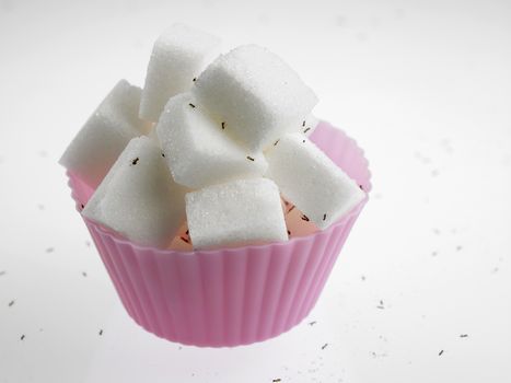 cube sugar in cup cake mold surrounded with ants