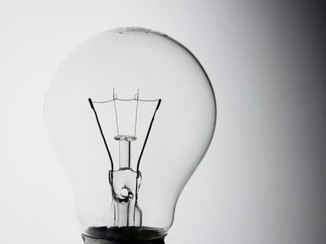 light bulb on the white background