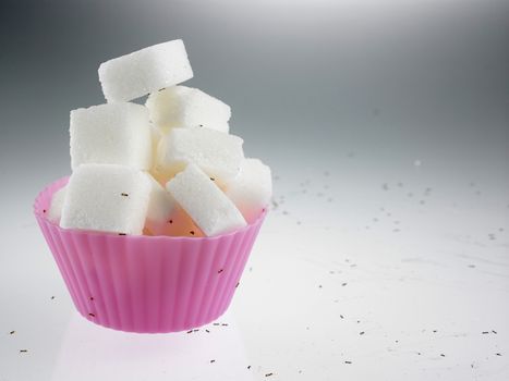 cube sugar in cup cake mold surrounded with ants