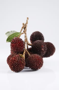 pulasan  thick skin or wild rambutan on the white background