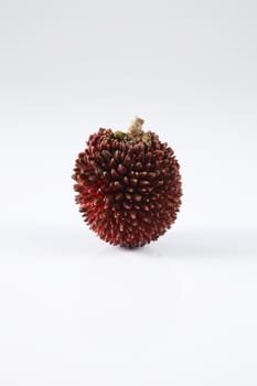 pulasan  thick skin or wild rambutan on the white background