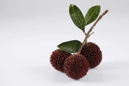 pulasan  thick skin or wild rambutan on the white background