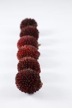 pulasan  thick skin or wild rambutan on the white background