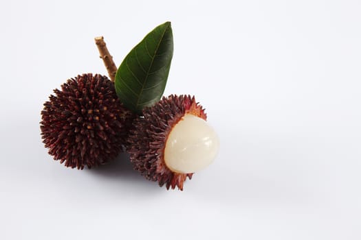 pulasan  thick skin or wild rambutan on the white background