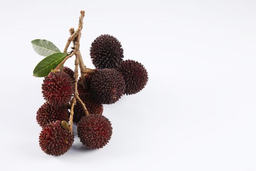 pulasan  thick skin or wild rambutan on the white background