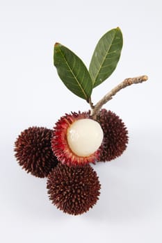 pulasan  thick skin or wild rambutan on the white background