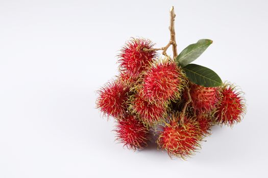 asian fruit rambutan on the plain background