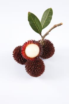 pulasan  thick skin or wild rambutan on the white background