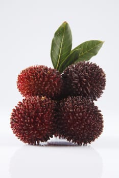 pulasan  thick skin or wild rambutan on the white background