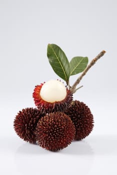 pulasan  thick skin or wild rambutan on the white background