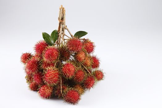 asian fruit rambutan on the plain background