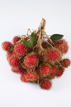 asian fruit rambutan on the plain background