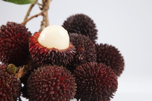 pulasan  thick skin or wild rambutan on the white background