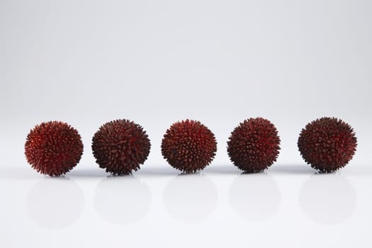 pulasan  thick skin or wild rambutan on the white background