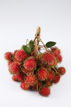 asian fruit rambutan on the plain background