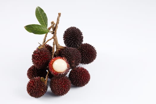 pulasan  thick skin or wild rambutan on the white background