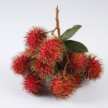 asian fruit rambutan on the plain background