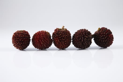 pulasan  thick skin or wild rambutan on the white background