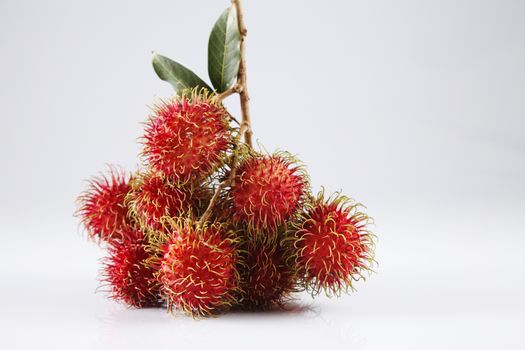 asian fruit rambutan on the plain background