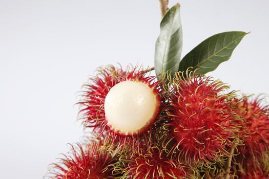 asian fruit rambutan on the plain background