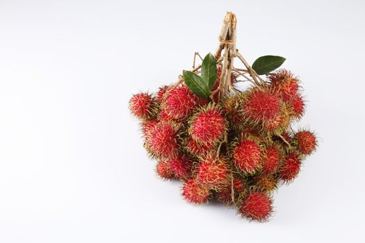 asian fruit rambutan on the plain background