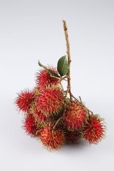 asian fruit rambutan on the plain background