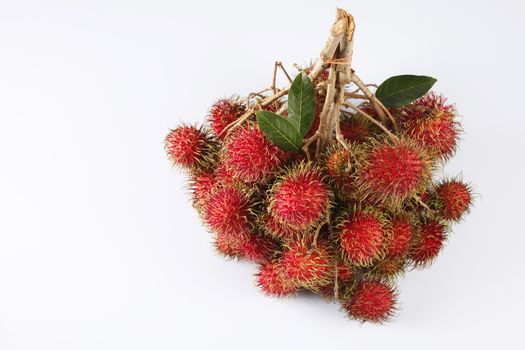 asian fruit rambutan on the plain background