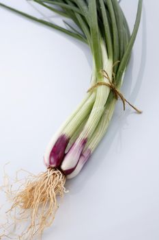 Spring Onions on White Background