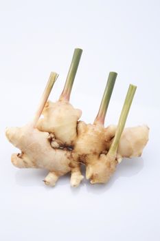 bunch of ginger root on the white background