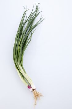 Spring Onions on White Background