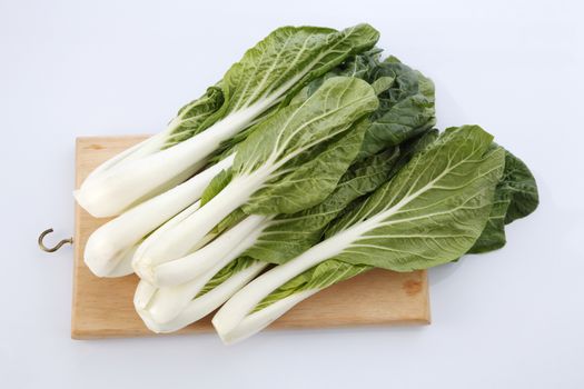 pak choy (chinese cabbage) isolated on white