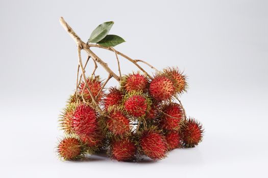 asian fruit rambutan on the plain background