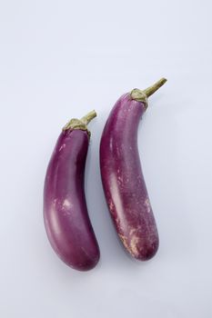 Brinjal isolated on white background