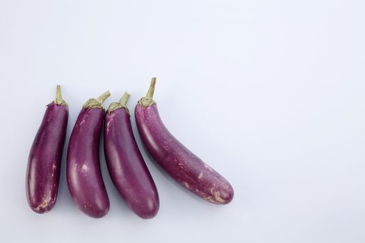 Brinjal isolated on white background