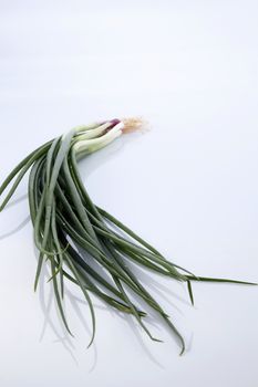 Spring Onions on White Background