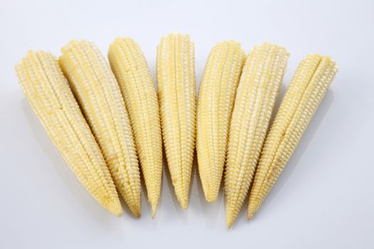 Baby corn on a white background, close-up