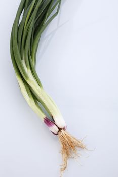 Spring Onions on White Background