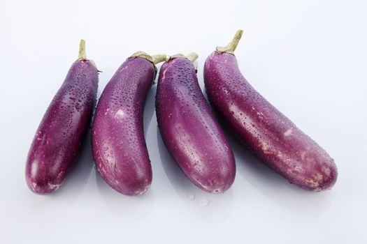 Brinjal isolated on white background