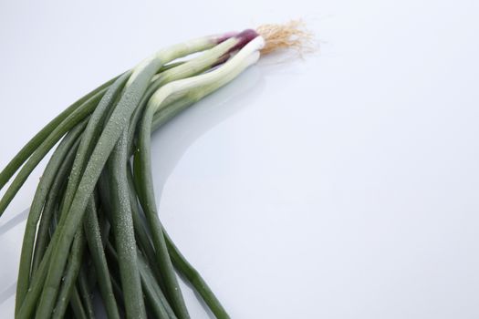 Spring Onions on White Background