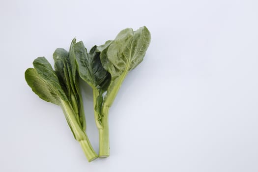 Chinese mustard green on white background