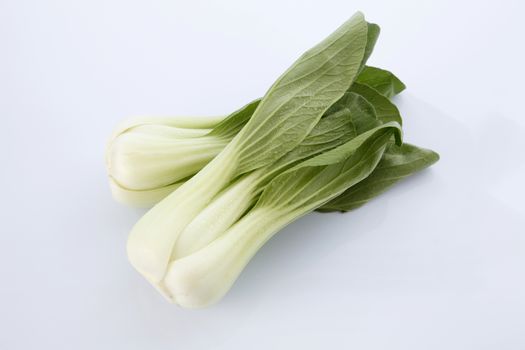 Bok choy isolated on white