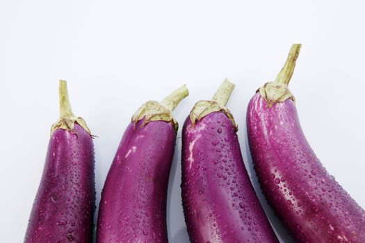 Brinjal isolated on white background