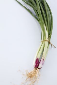 Spring Onions on White Background