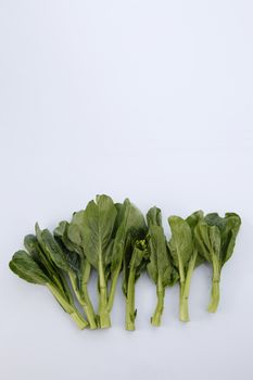 Chinese mustard green on white background