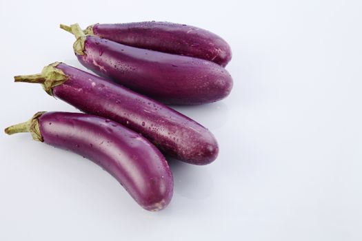 Brinjal isolated on white background