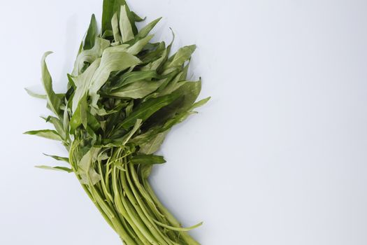 Water spinach isolated on white background