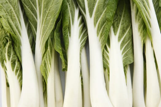 close up of the pak choy 