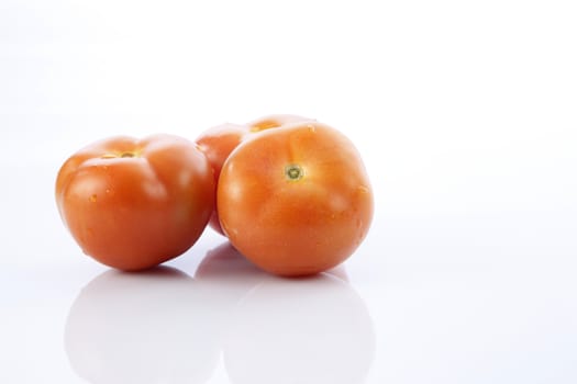 tomatoes on the white backgrond