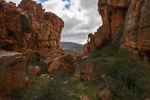 Cederberg Mountain Wilderness Area Scene 12907